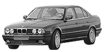 BMW E34 P1036 Fault Code