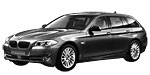 BMW F11 P1036 Fault Code